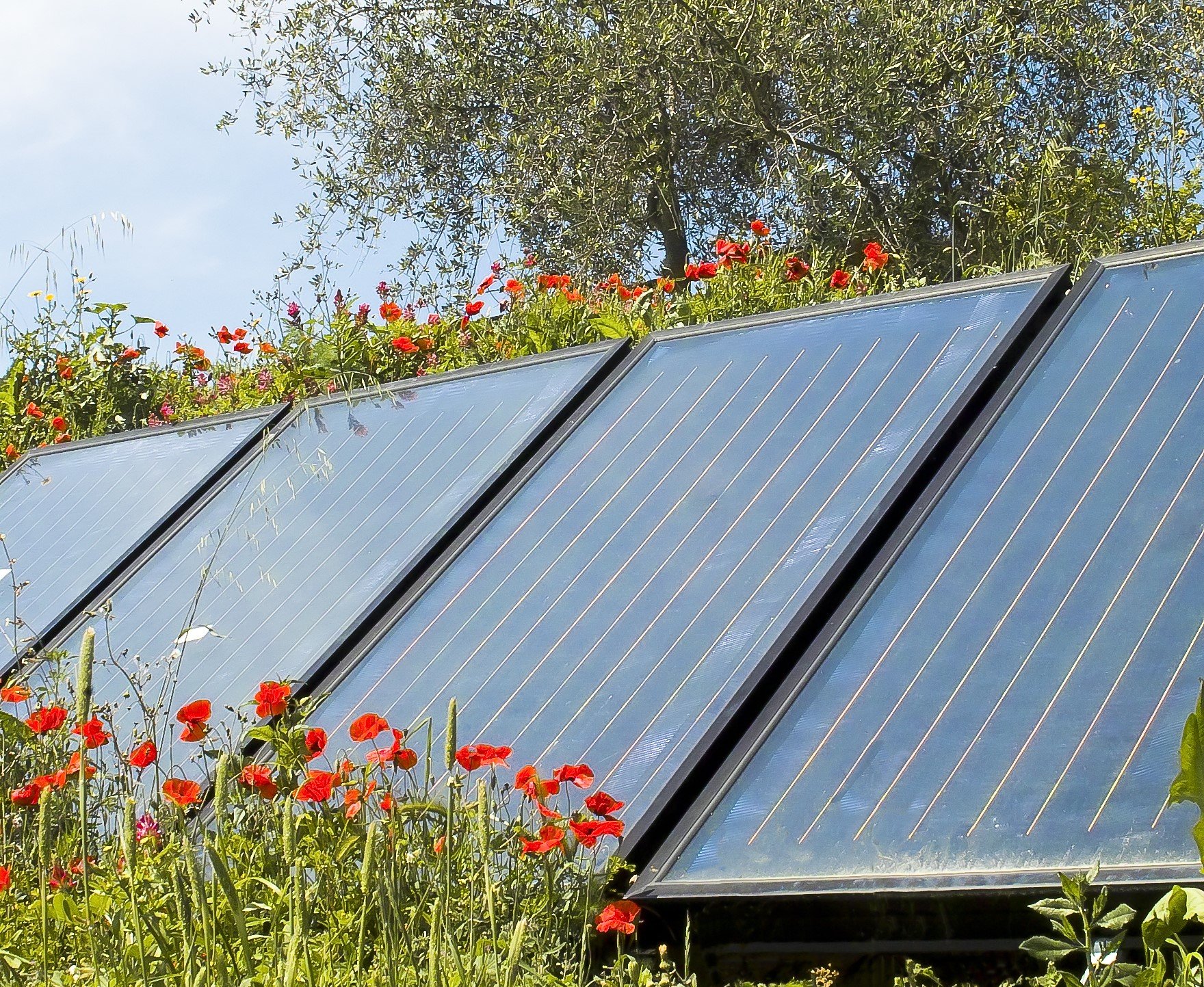 Zonnepanelen