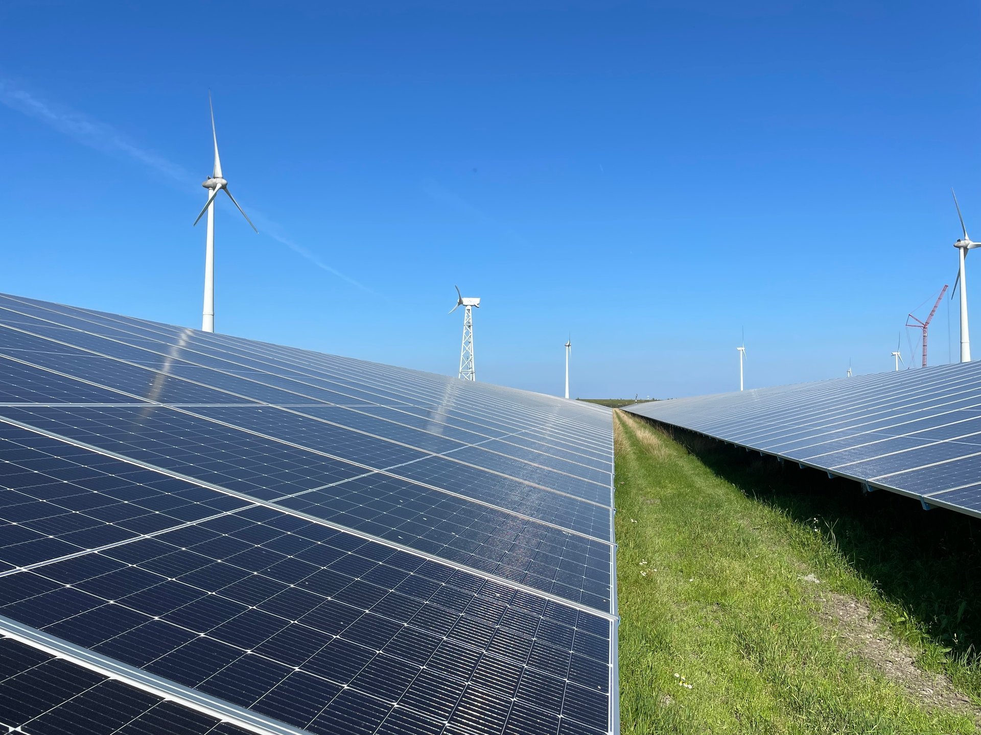 Zonnepanelen met windmolens op de achtergrond